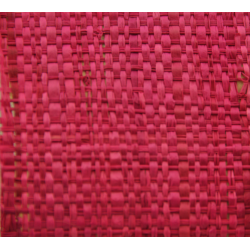 Fuschia Mechanic Raffia Rabane Langarana 