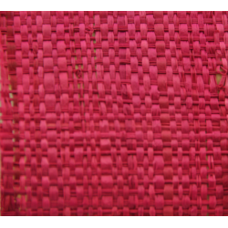 Fuschia Mechanic Raffia Rabane Langarana 
