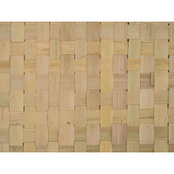 Tissage Ravinala Droit -120cm