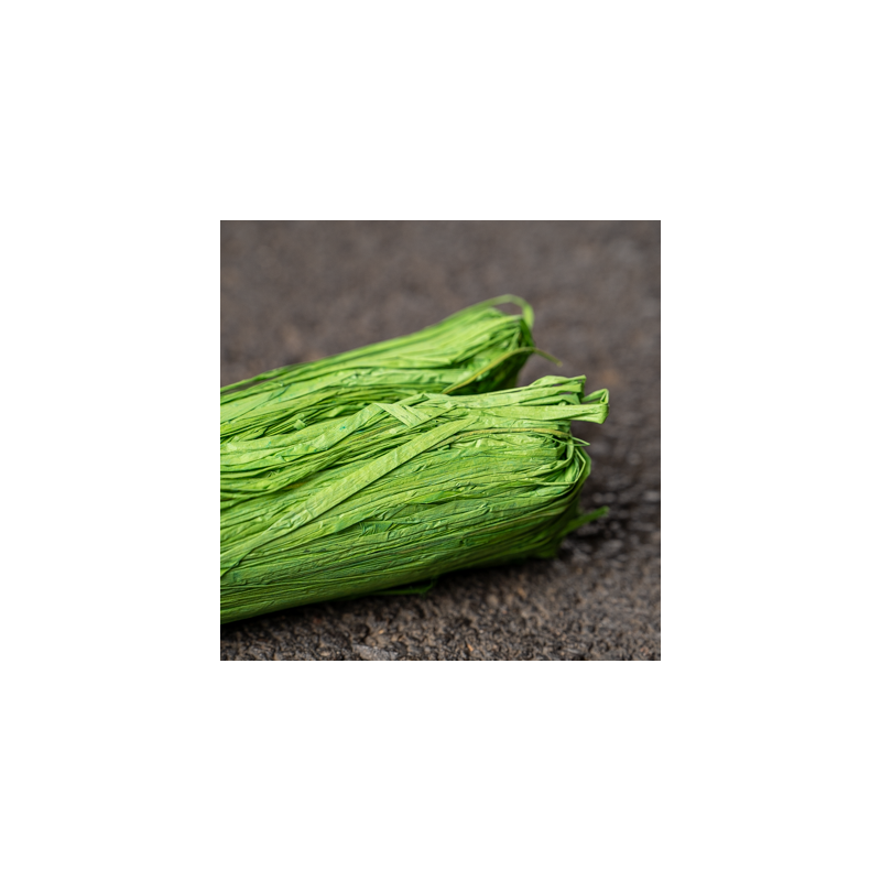 Raphia Vert