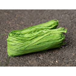 Raphia Vert