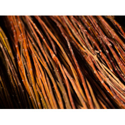 Raw willow 