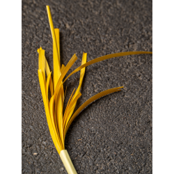 Yellow flaten Rye straw