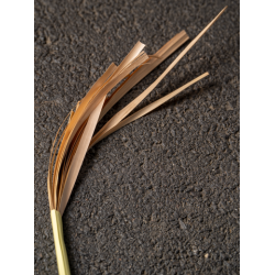 Flaten Antique Rye straw