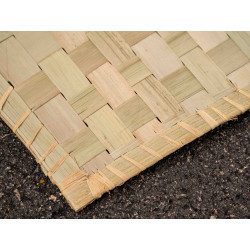 Ravinala Weaving straigth