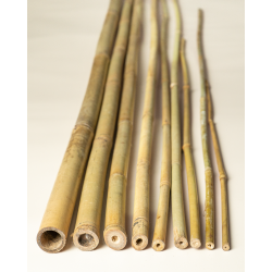 Bamboo Stake 90cm