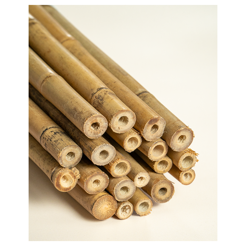 Bamboo Stake 244cm