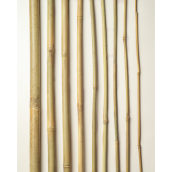 Bamboo Stake 90cm