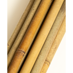 Bamboo Stake 244cm