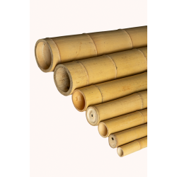 Gros Bambou Déco 295cm