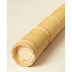 Gros Bambou Déco 590cm