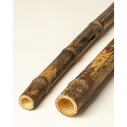 Bambou Négra Naturel 