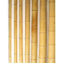 Gros Bambou Déco 295cm