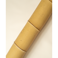 Gros Bambou Déco 590cm