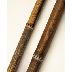 Bambou Négra Naturel 