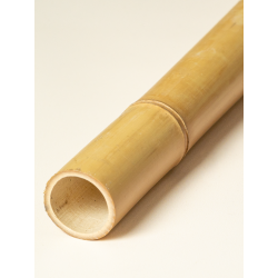 Gros Bambou Déco 295cm