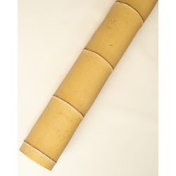 Gros Bambou Déco 590cm