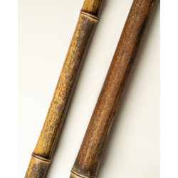Bambou Négra Naturel 