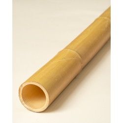 Gros Bambou Déco 295cm