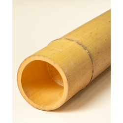 Gros Bambou Déco 295cm