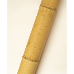 Gros Bambou Déco 295cm