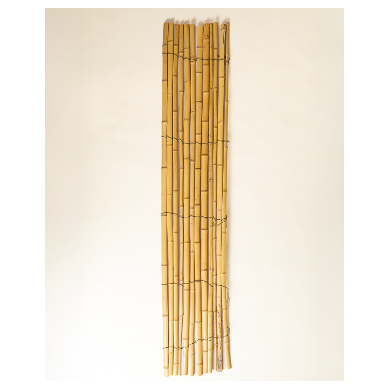 Clôture & Protection Bambou 70cm