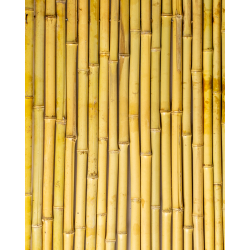 Palissade Naturel Bambou Rond 