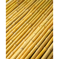 Palissade Naturel Bambou Rond 
