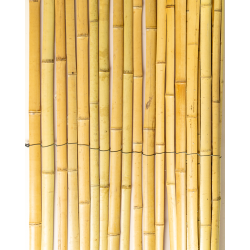 Bamboo Guard & Fence 200cm