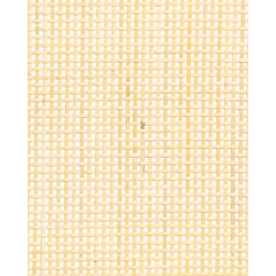 Tissage Ajouré Canne de Rotin 2.5mm Naturel