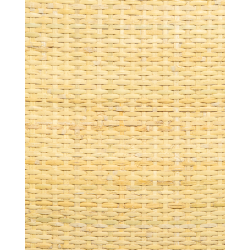 Closed Cane Webbing 5x5mm