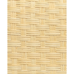 Crossed Closed Core Webbing 