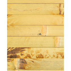 Tissage Bambou Latte Vert Tigré