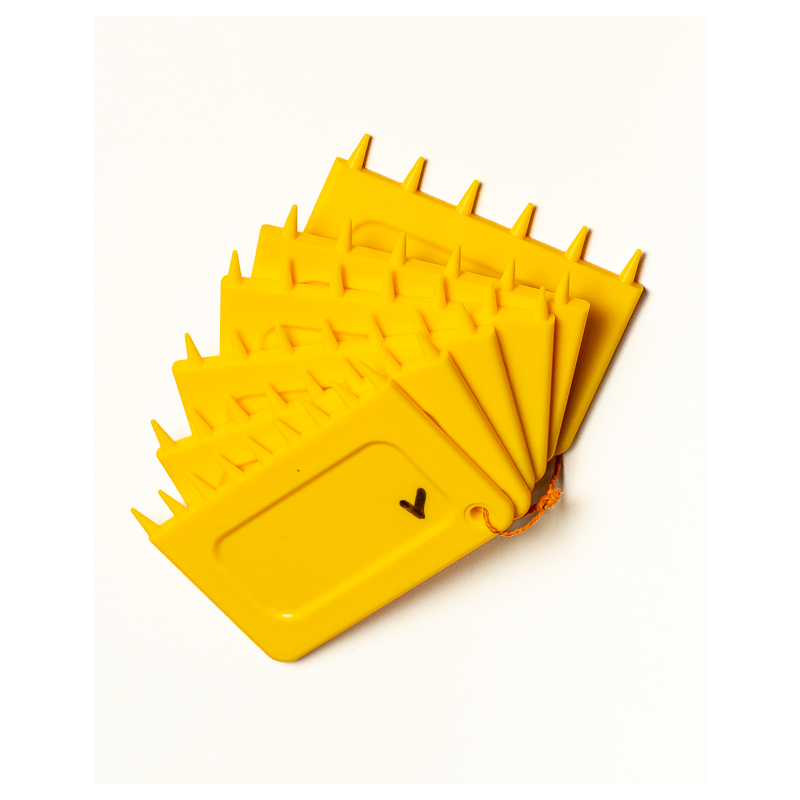 Webbing comb for the cane alignment 