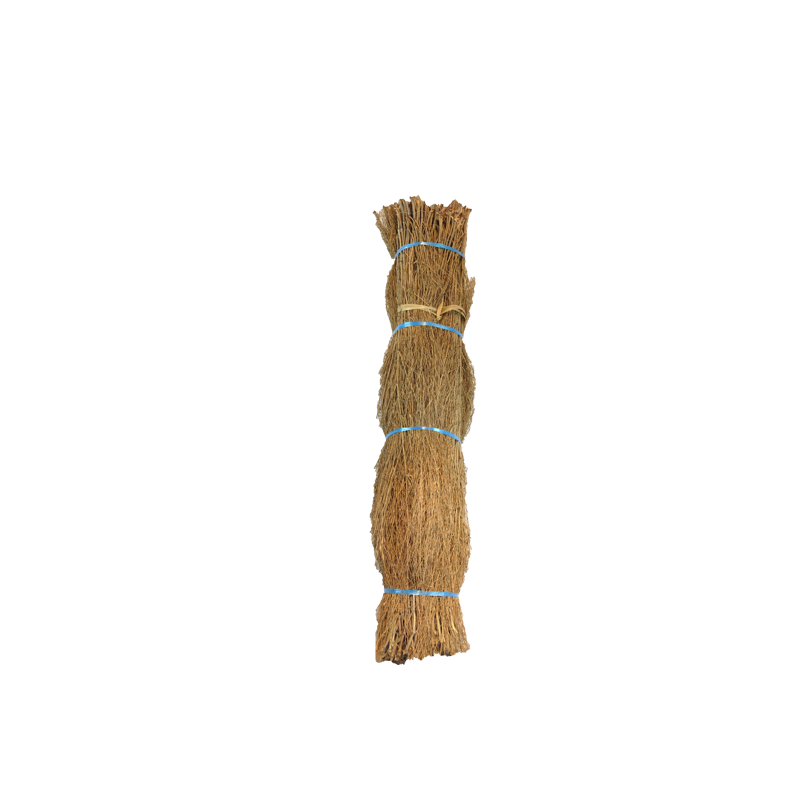 Bambou Brousaille Bambou Brousaille