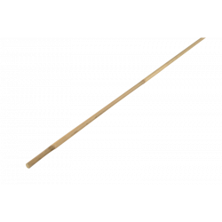 Bamboo stake 60cm