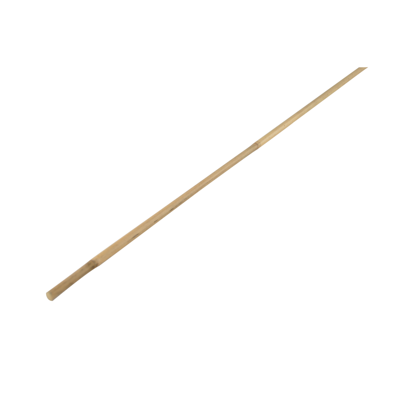 Bamboo stake 60cm