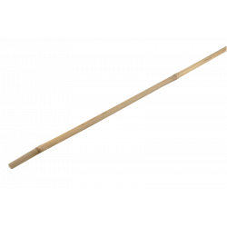 Bamboo Stake 120cm