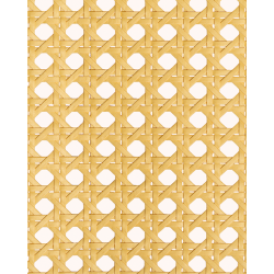 1/2 Mesh Paper Webbing