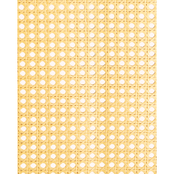1/2 Mesh Paper Webbing