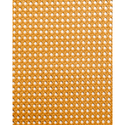 1/2 Mesh Paper Webbing Caramel