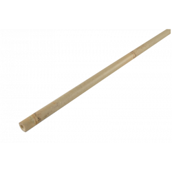 Bamboo Stake 244cm