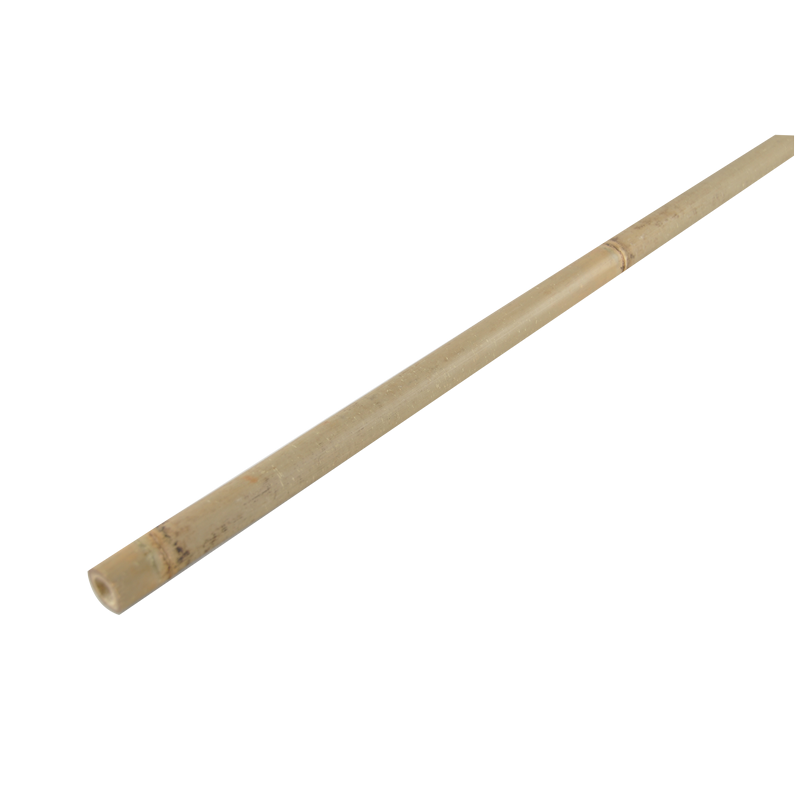 Bamboo Stake 244cm