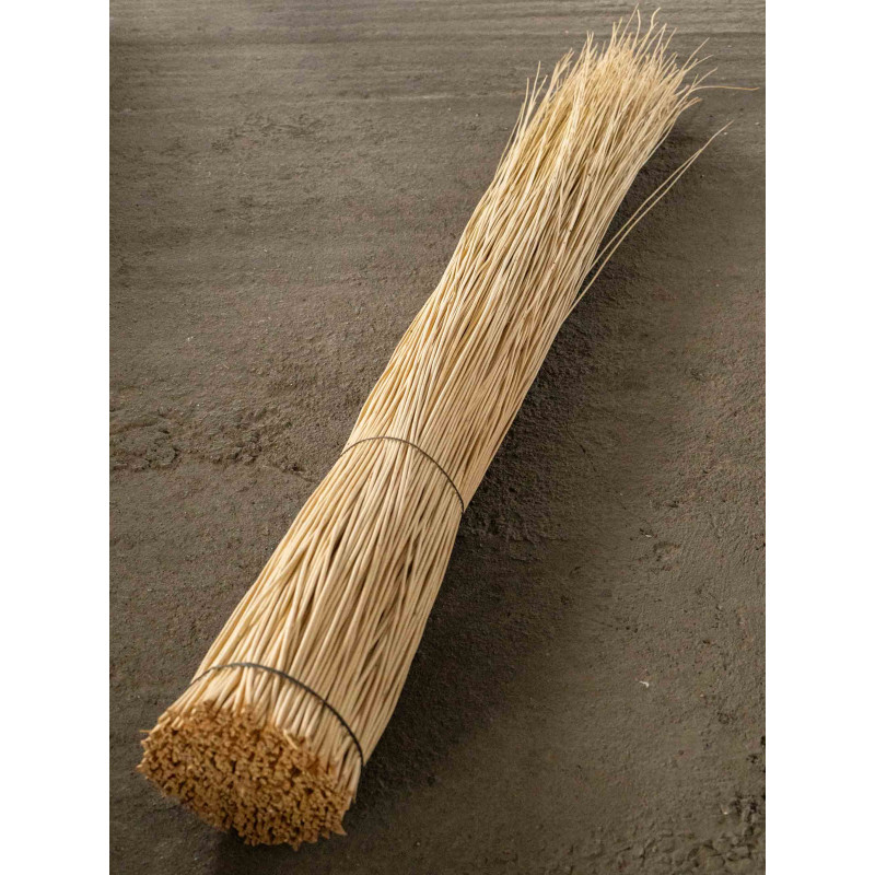 White willow 