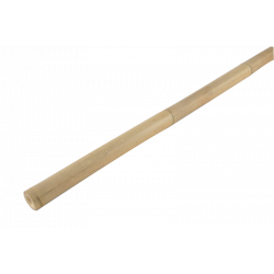 Bamboo Stake 300cm