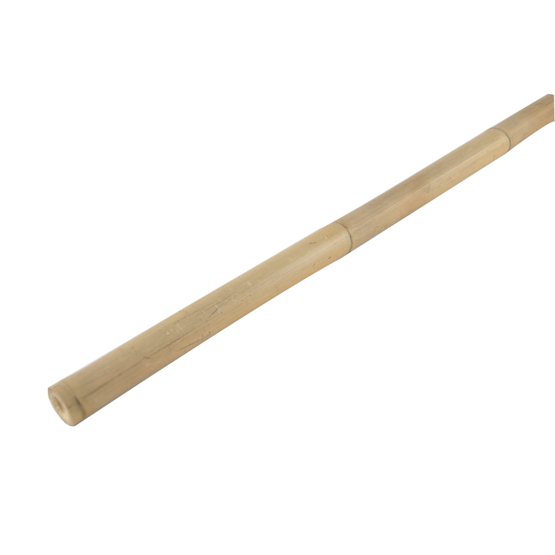 Bamboo Stake 300cm