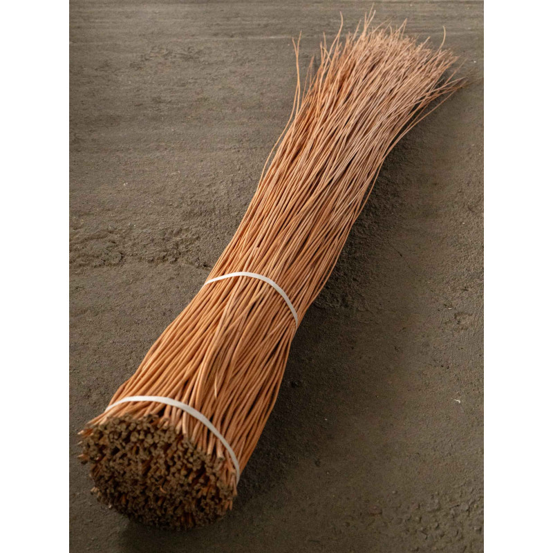 Buff willow 