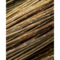Osier Brut Polyvalent Foncé – Purpurea Daphnoides