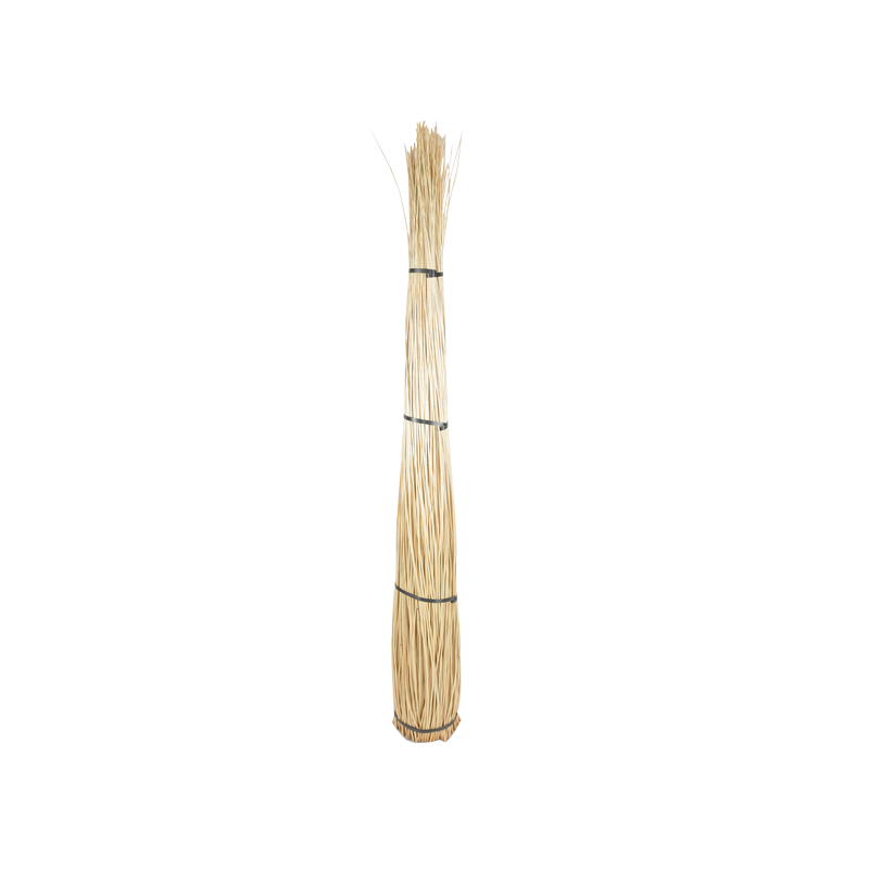 White willow White willow